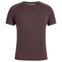 Senti Men's Merino T-shirt